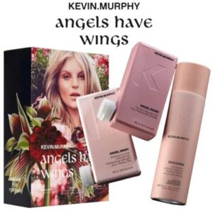 Angel's Have Wings Holiday Kit