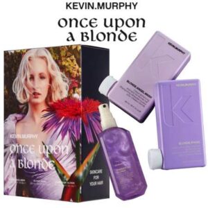 Once Upon a Blonde Holiday Kit